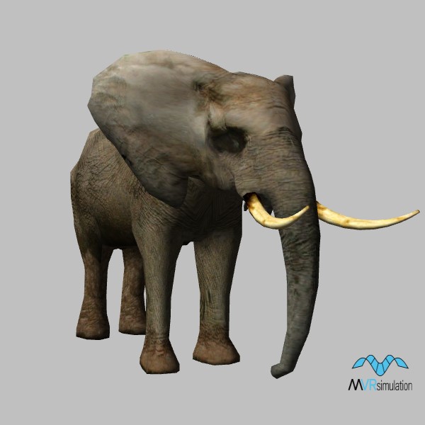 animal-elephant-001