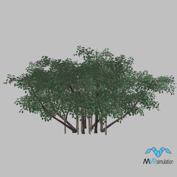 tree-llilac-002