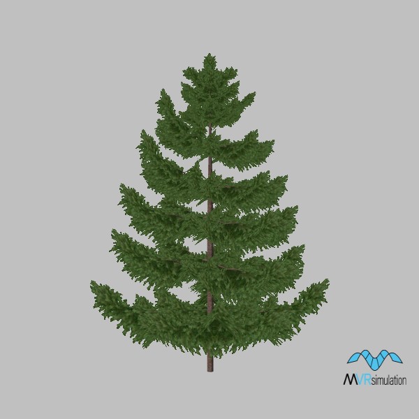tree-pine-004