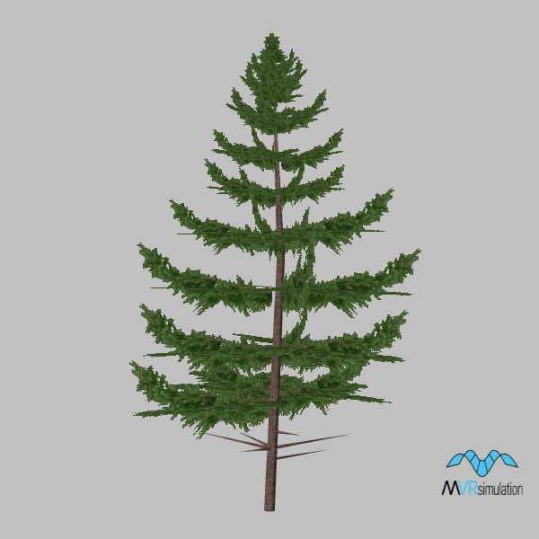 tree-pine-006-low