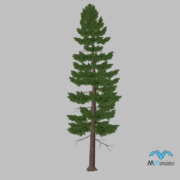 tree-pine-008