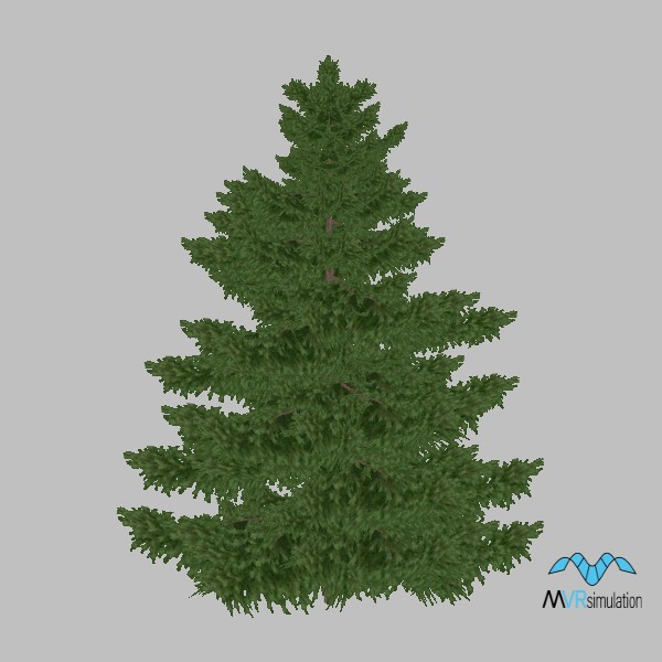 tree-pine-009